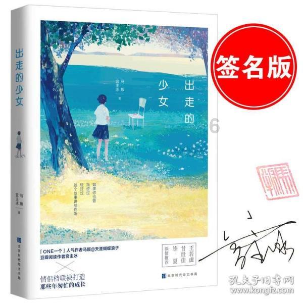 疯狂的小偷